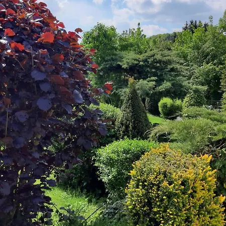 Nurburgblick *